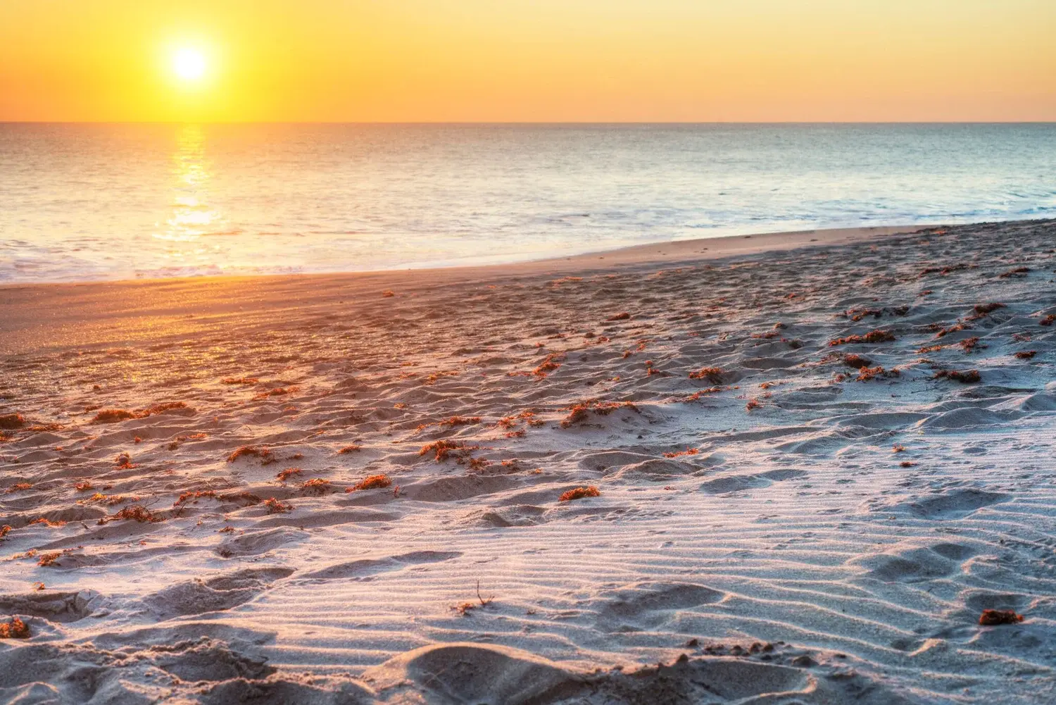 Chabad of Vero Beach