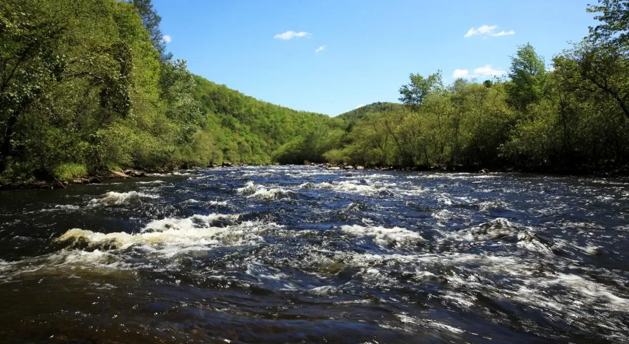 Chabad of North Pocono