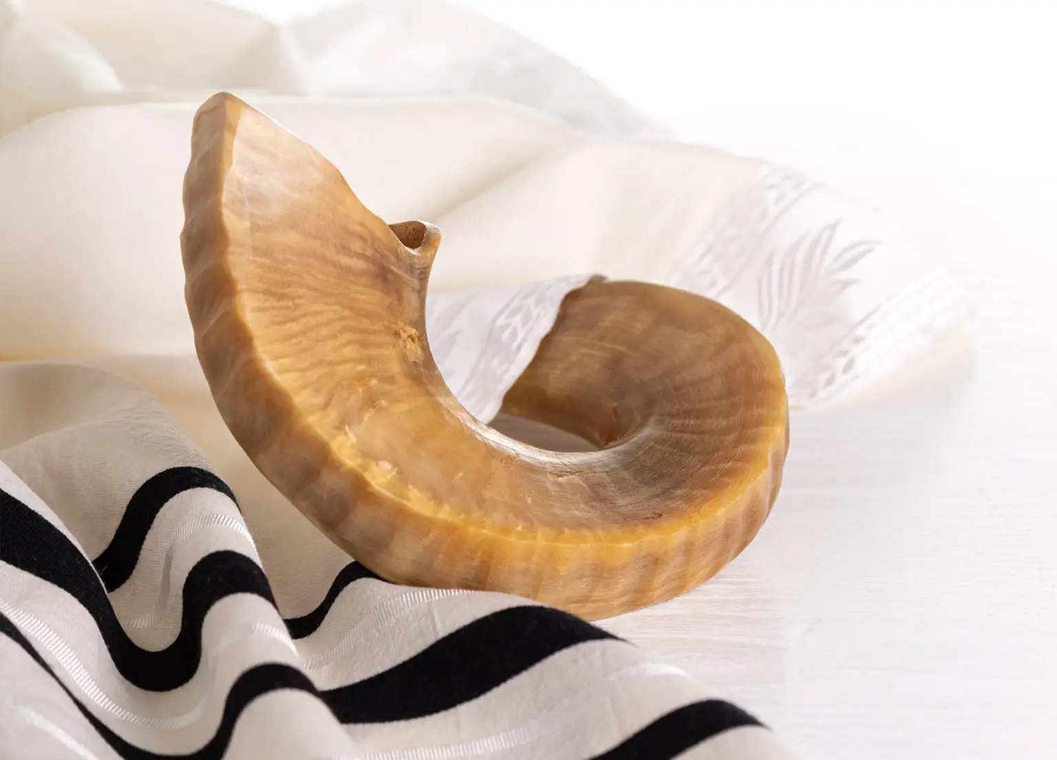 Beth Loubavitch Bondy-Pavillons