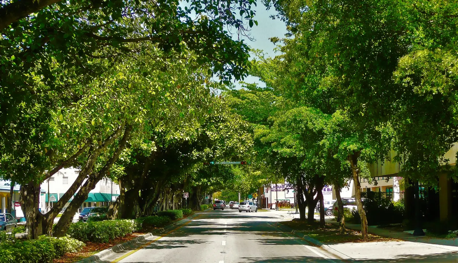 Chabad of Coral Way 