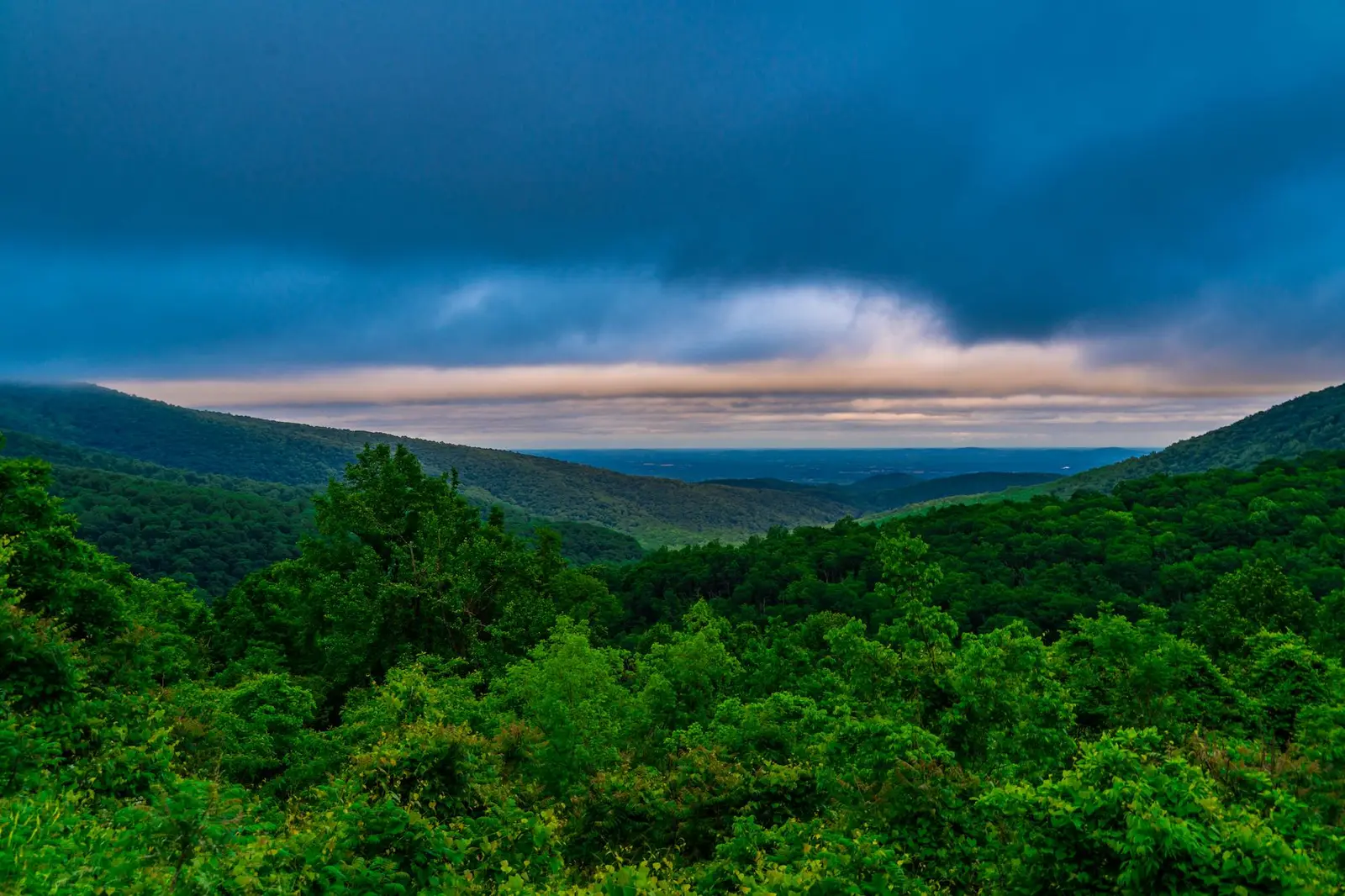 Chabad Jewish Monticello 