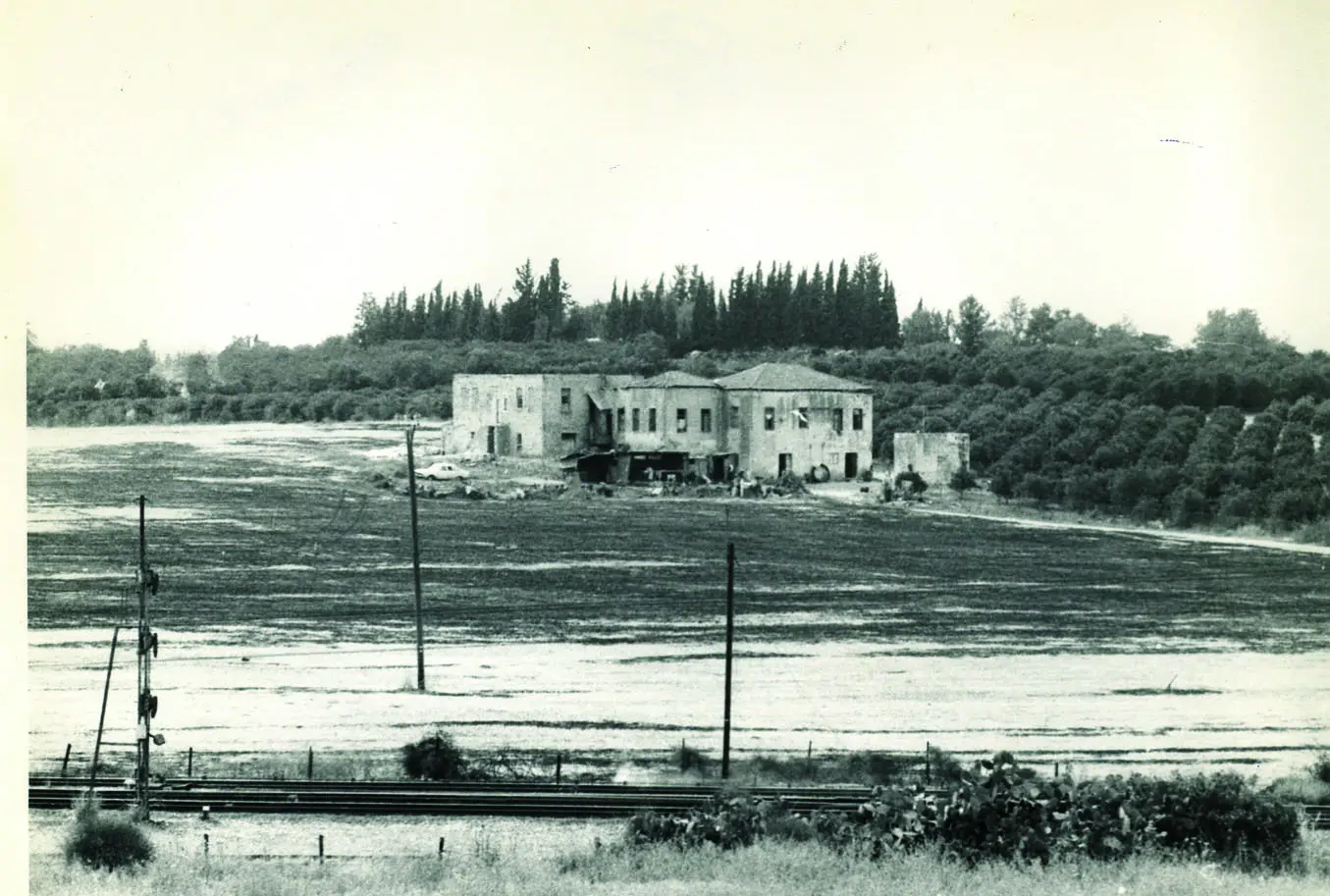 התייסדות תומכי תמימים