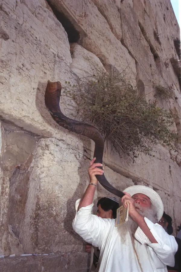 השופר מגיע עד אליכם בית חב"ד גבעתיים שמחים להזמין אתכם ואתכן לאירועי תקיעות שופר קרא עוד