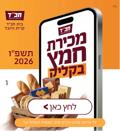 דוידי