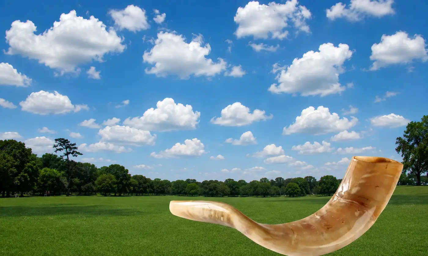 Shofar In The Park