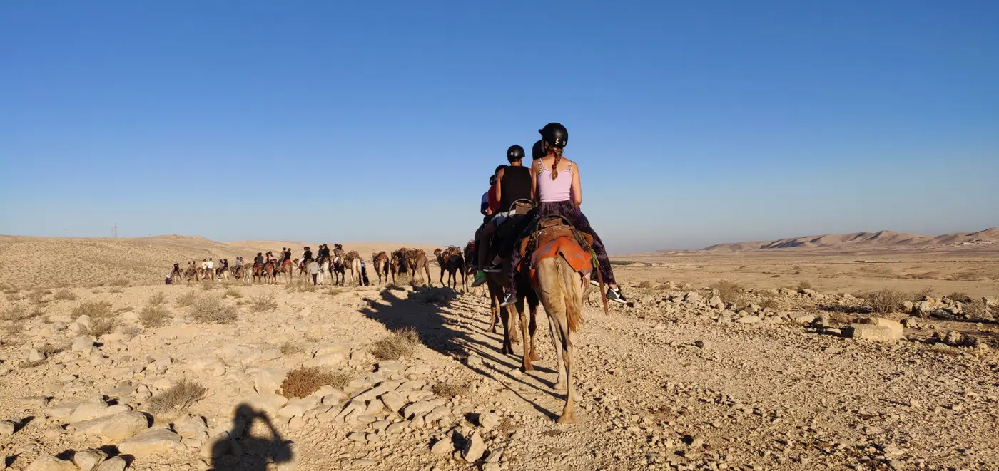 Birthright Israel