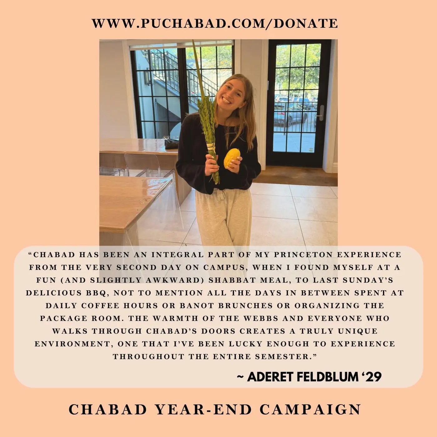 Chabad of Princeton University at a Glance