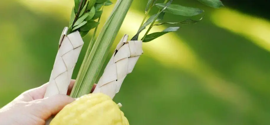 Sukkot Eve