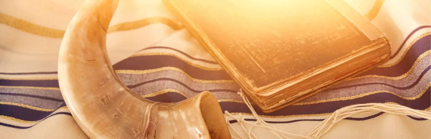 פדיון כפרות עושים עם בית חב"ד טביליסי תרום עכשיו