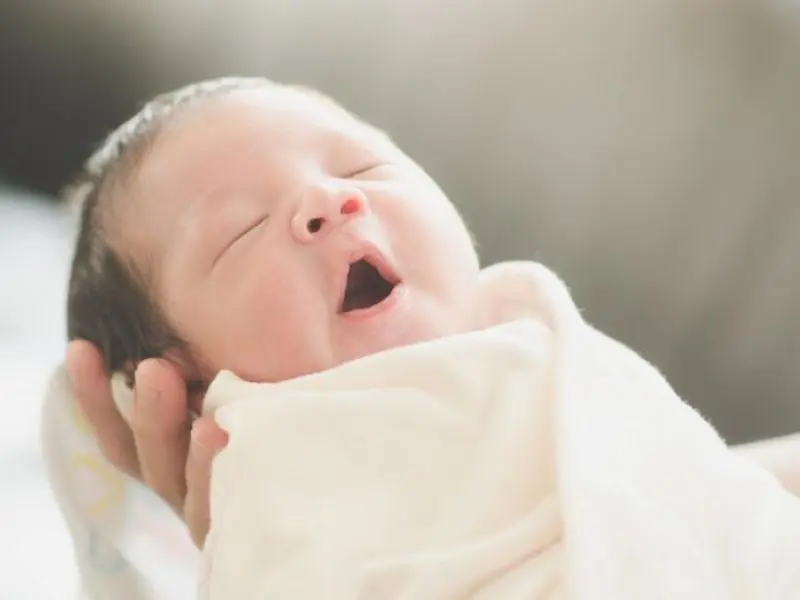 Birth