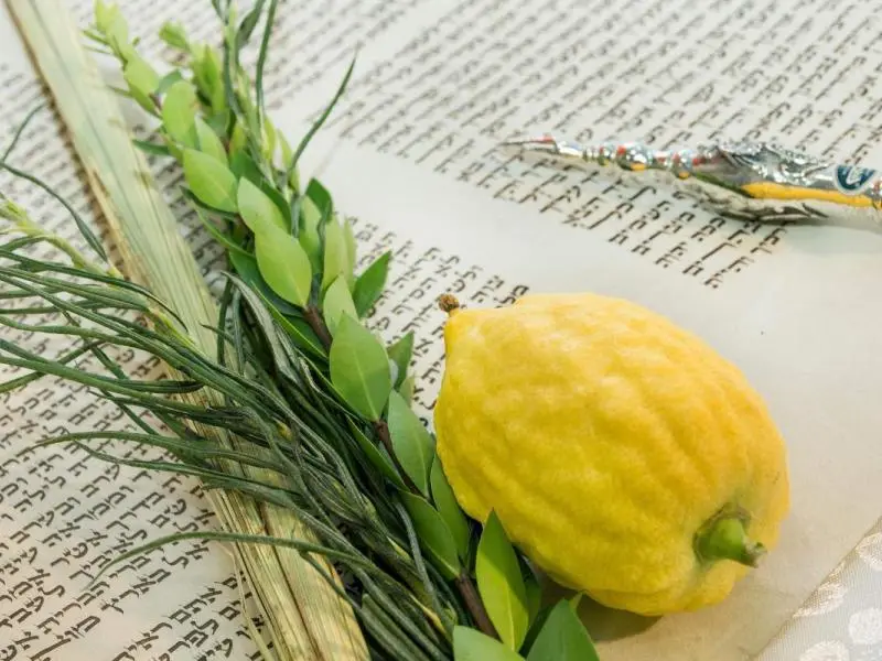 Sukkot