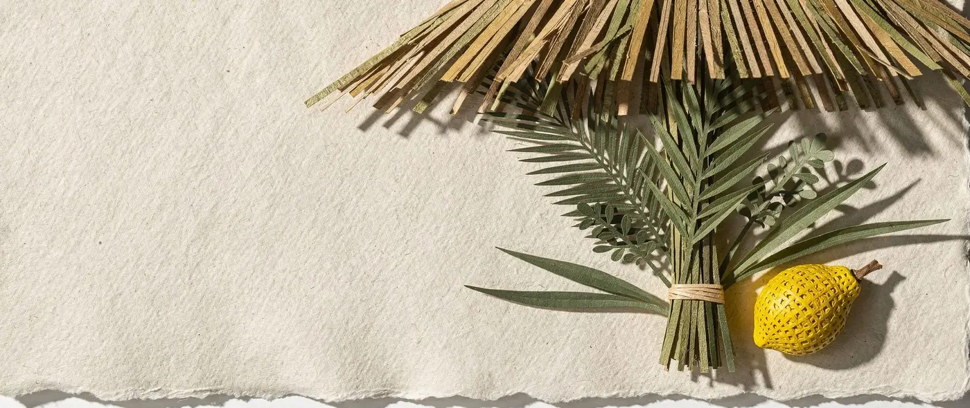 Sukkot Under the Stars.