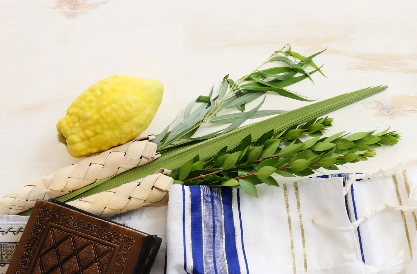 Sukkot 5787 - 2026 Celebrating together with Chabad of Panama City Information & Registration