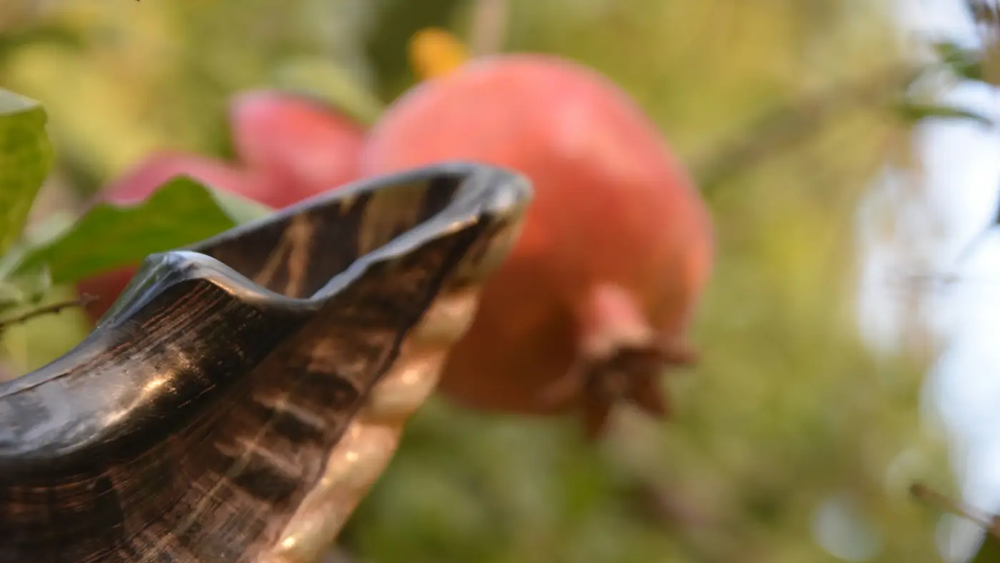  Shofar Happy Hour JOIN HERE!