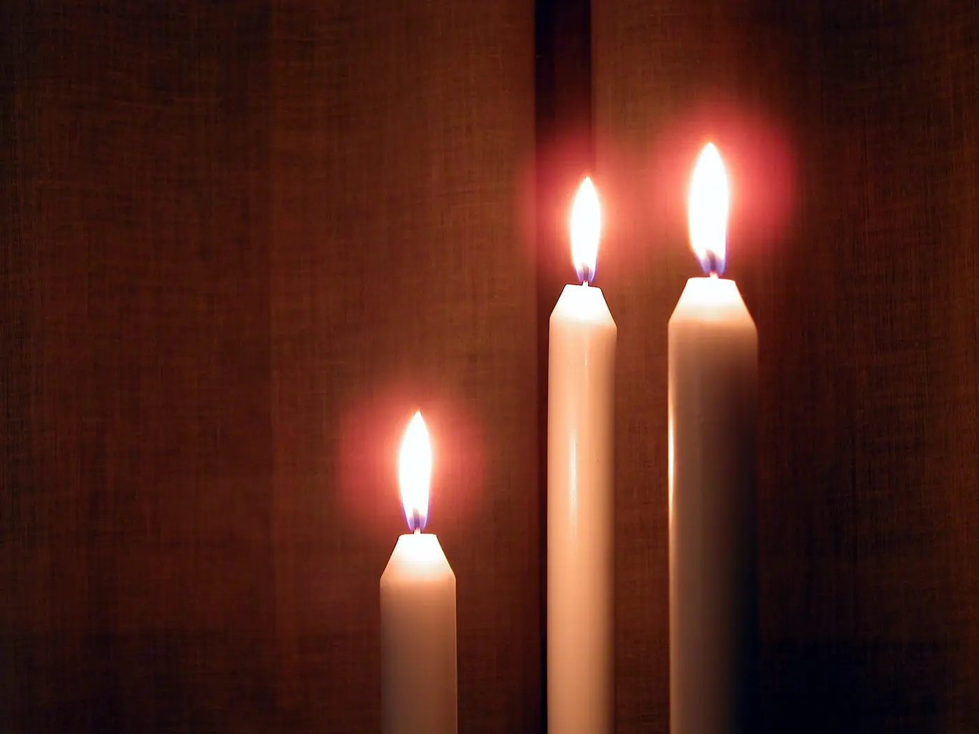Light Up ​the World.