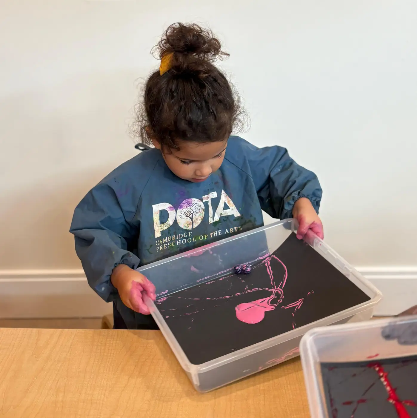 Welcome to Cambridge Preschool of the Arts!