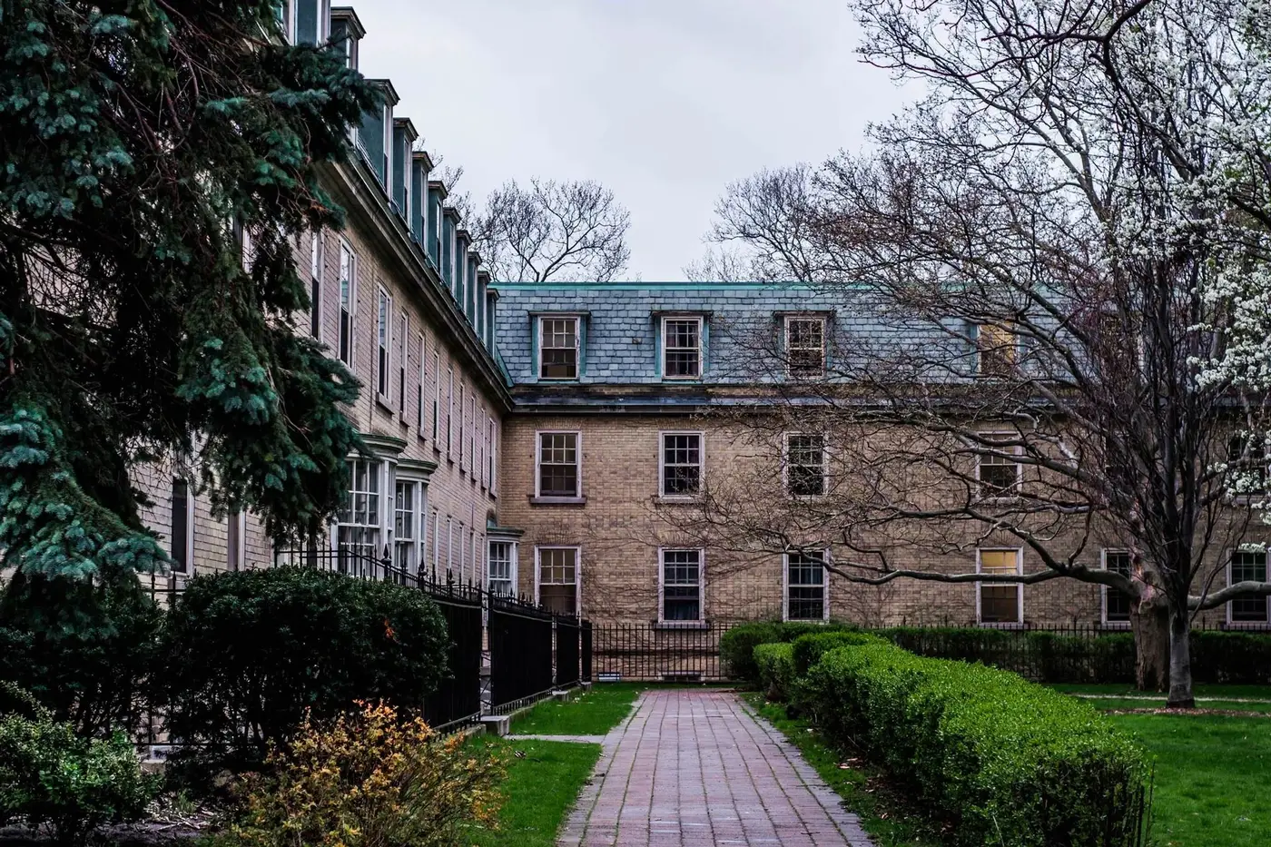 Chabad on Campus Learn More