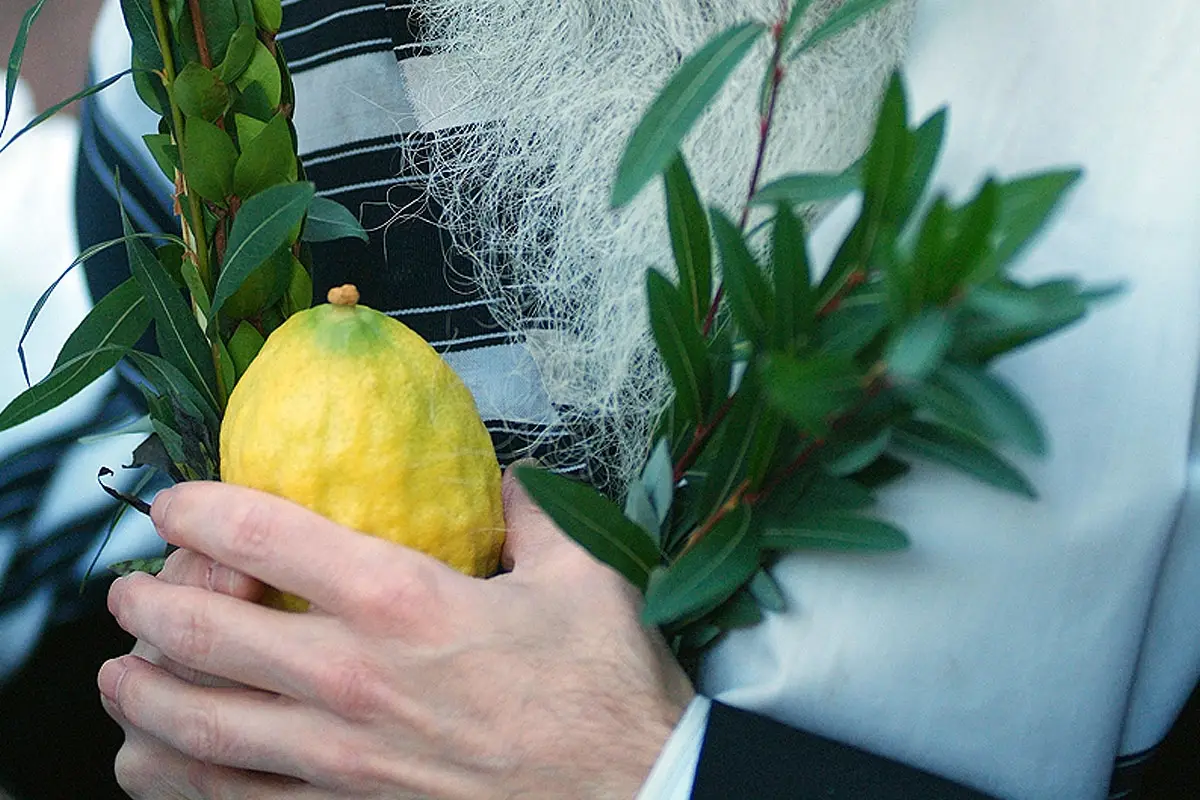 Souccot 2026