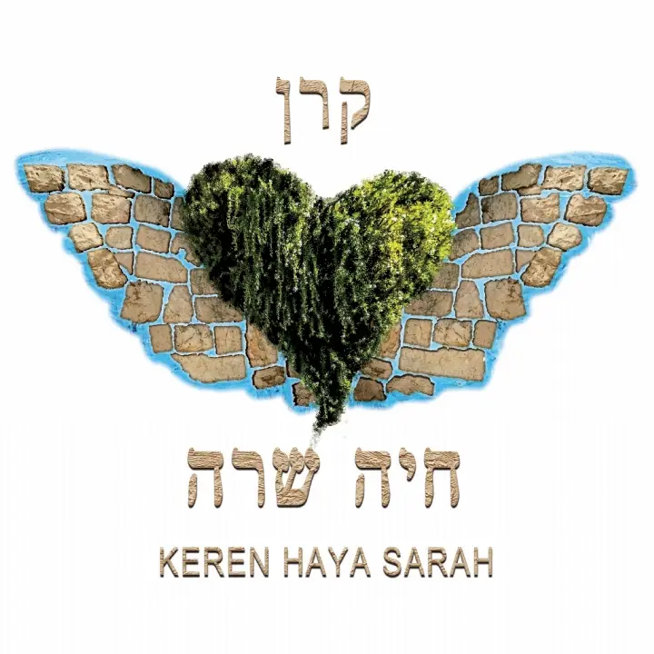 La Tsédaka et l’une des mitsvot les plus importantes du Judaïsme.