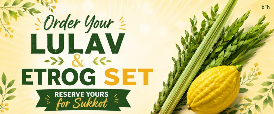 Order Your Lulav and Etrog Set Today!