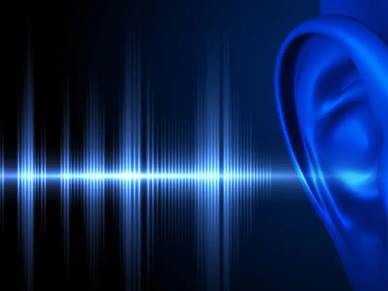 This week's audio - Torah Portion of Vayechi