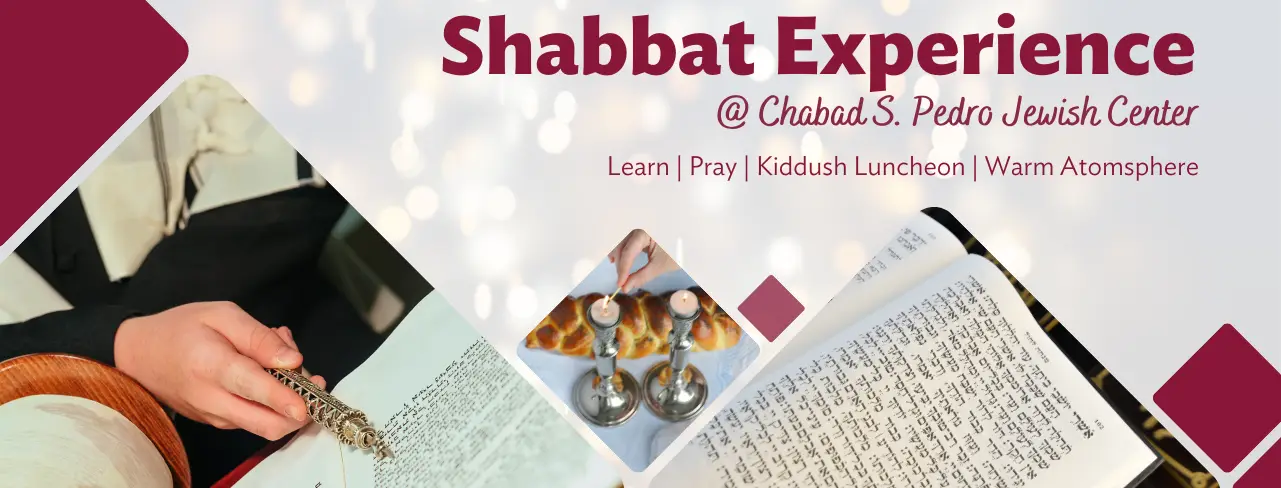 Deep Dive into the Chassidic teachings
