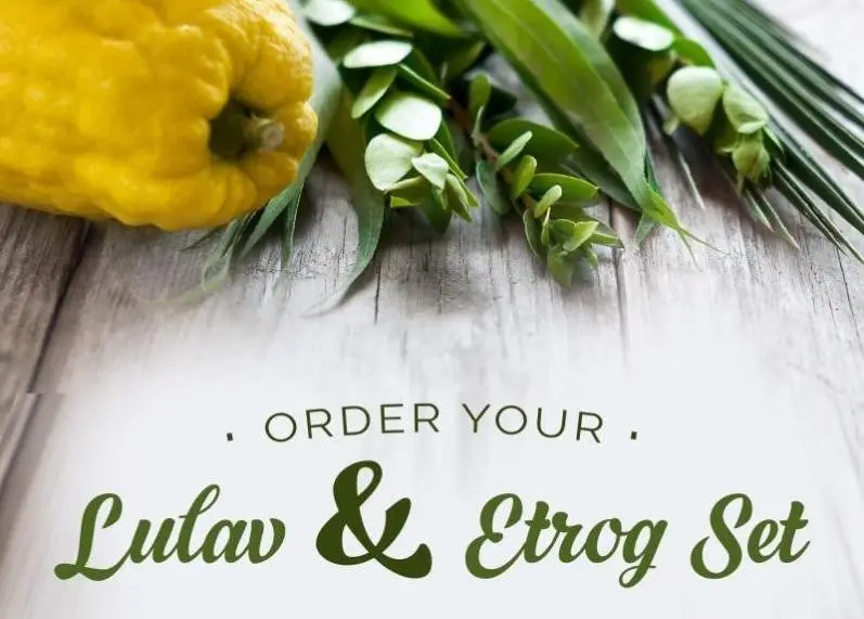 CHOOSE YOUR SET: A set includes 1 lulav, 1 etrog, 3 haddassim, 2 aravot