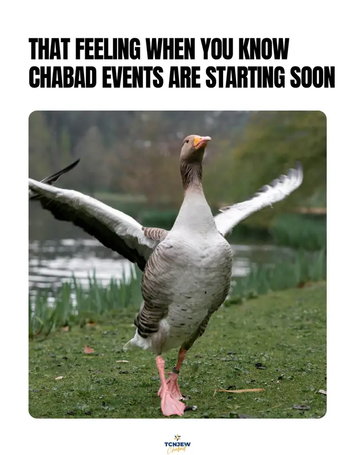 Experience Chabad of TCNJ & Ewing