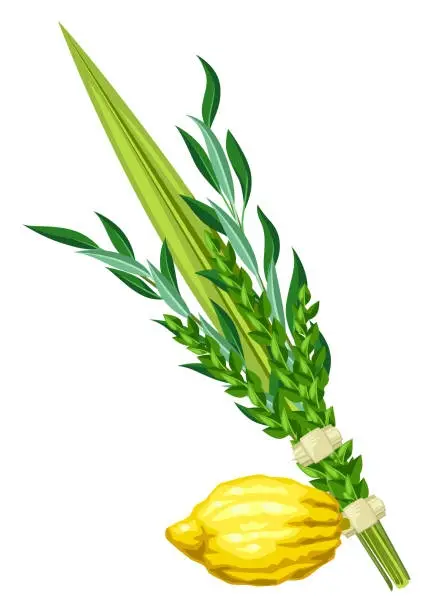 Lulav and Esrog Sign Up Form