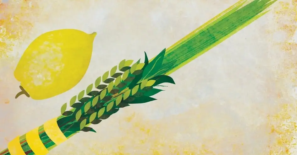 Order your Lulav and Etrog for Sukkot today! Email any questions to [email protected]