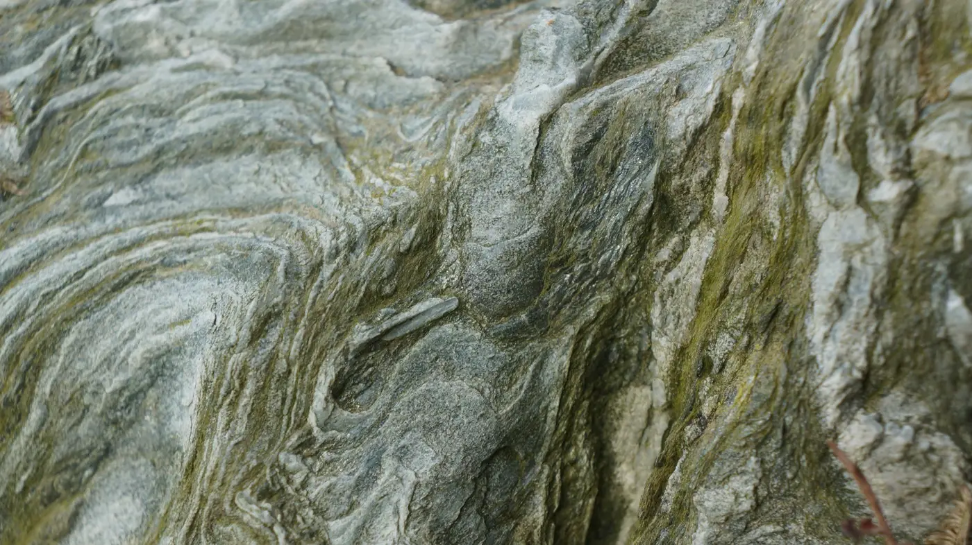 The Rock