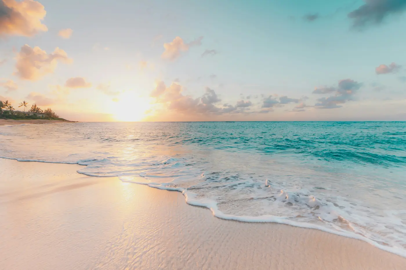 experiance KOSHER TULUM dining & shabbat catering
