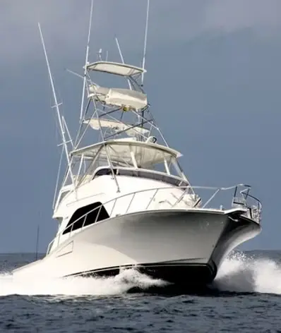 With over 12 years experience in Cabo, we know how to provide a good time for the right price.