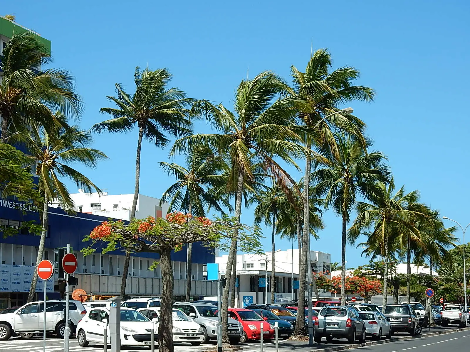 Chabad New Caledonia