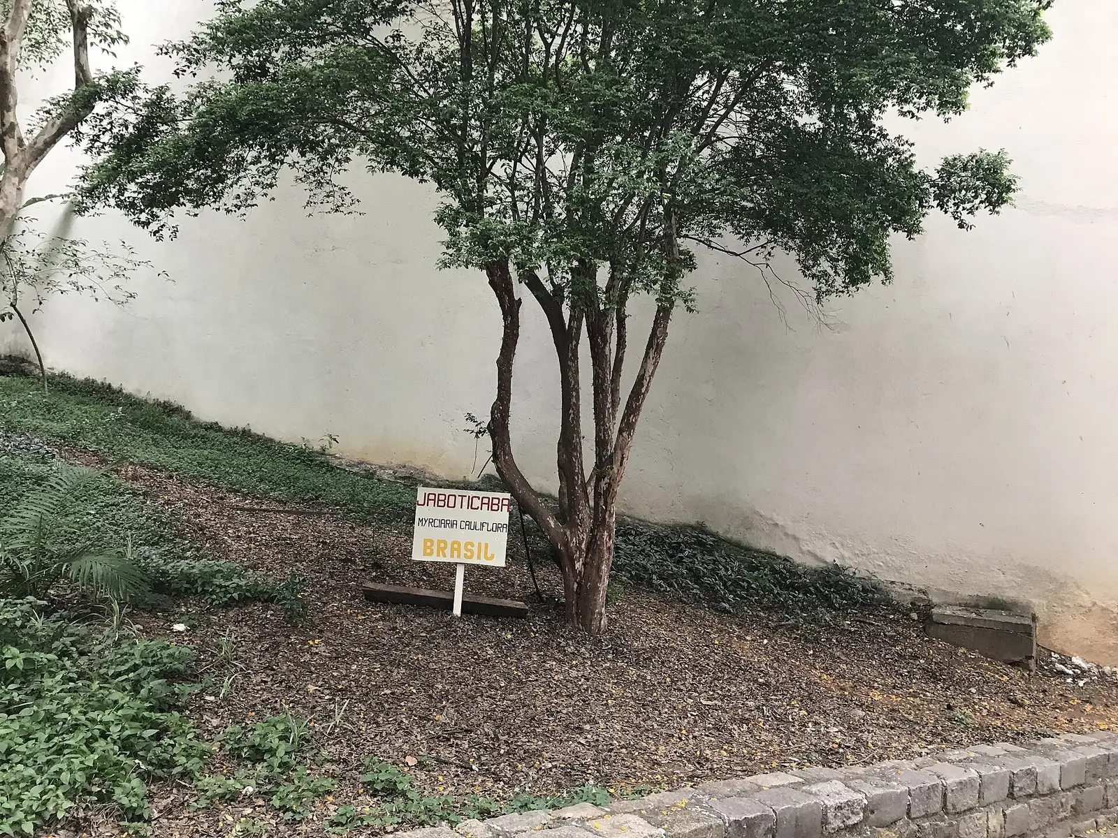 Beit Chabad Perdizes/Sumare
