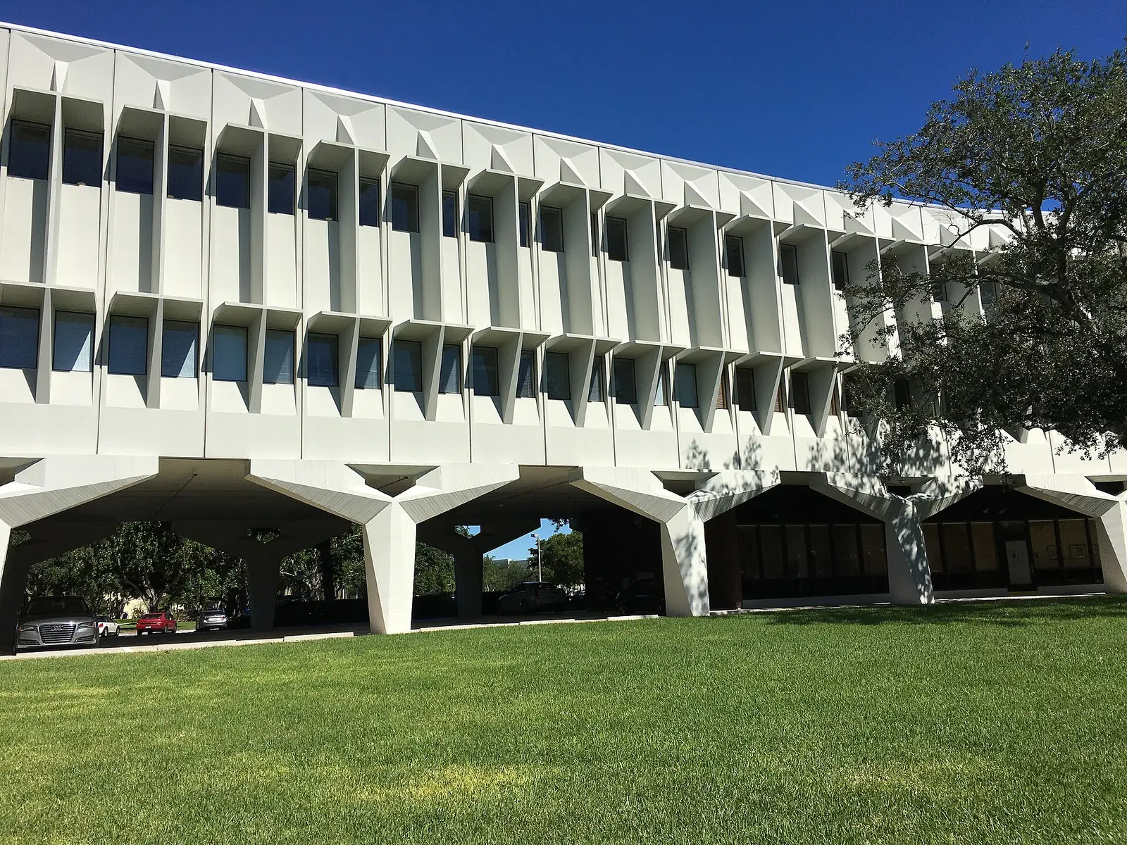 Chabad of Boca Raton