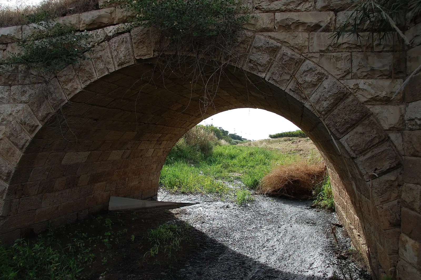 Chabad of Kfar Achim