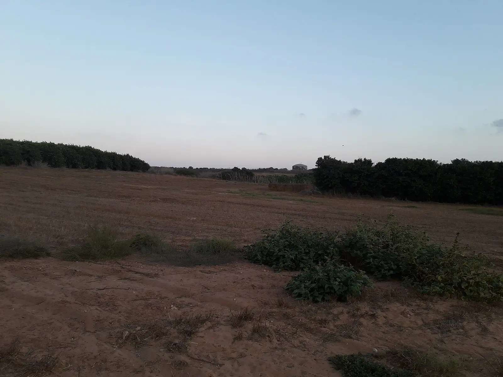Chabad Mishmeret
