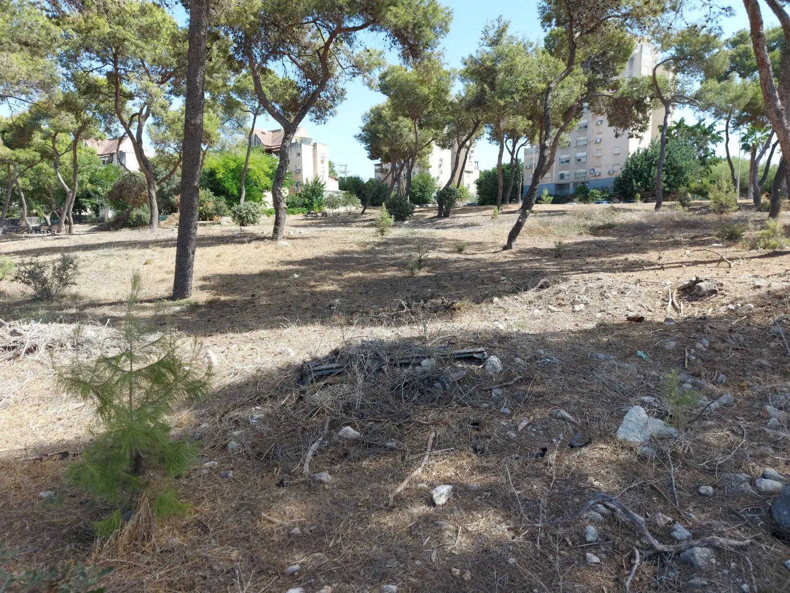 Beit Hakneset Chabad