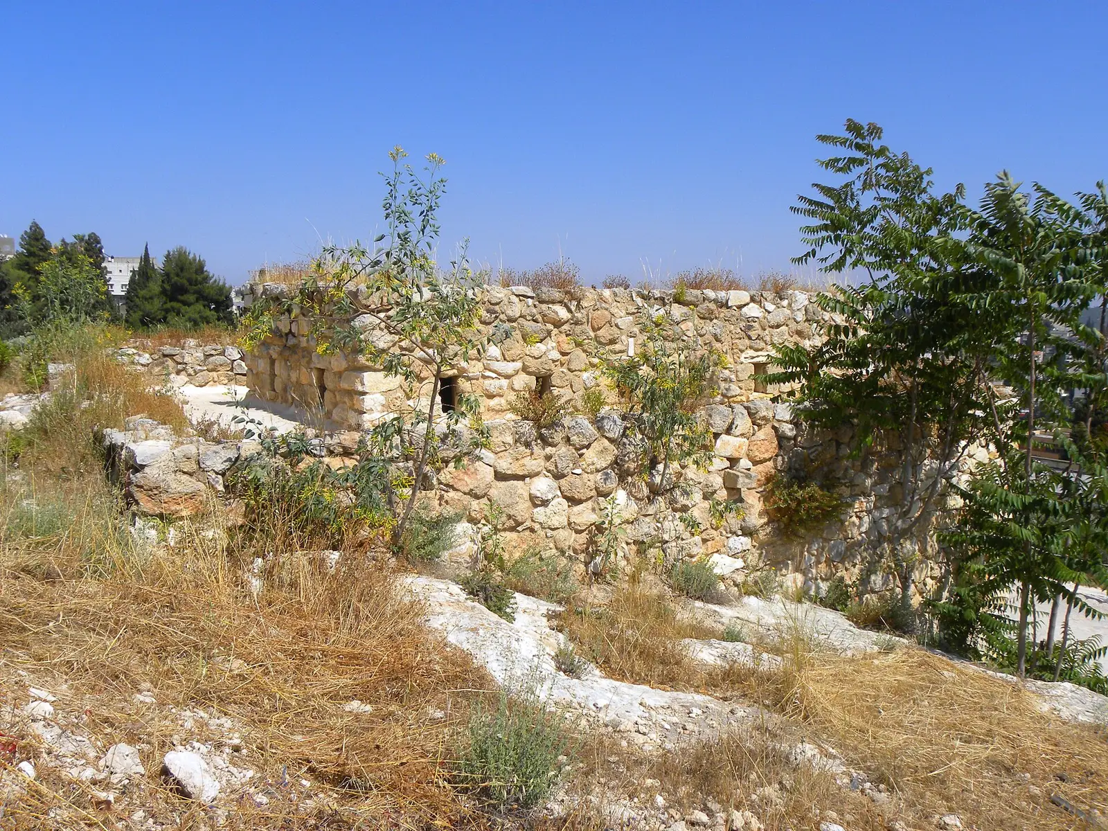 Talmud Torah