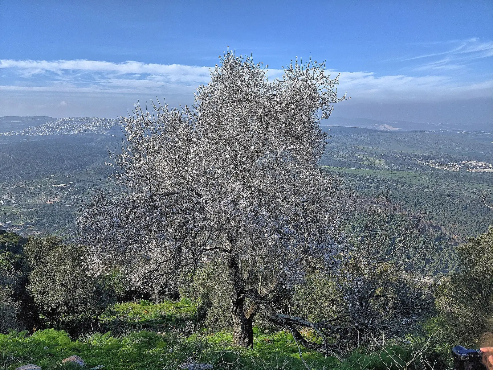 Beit Hakneset Chabad
