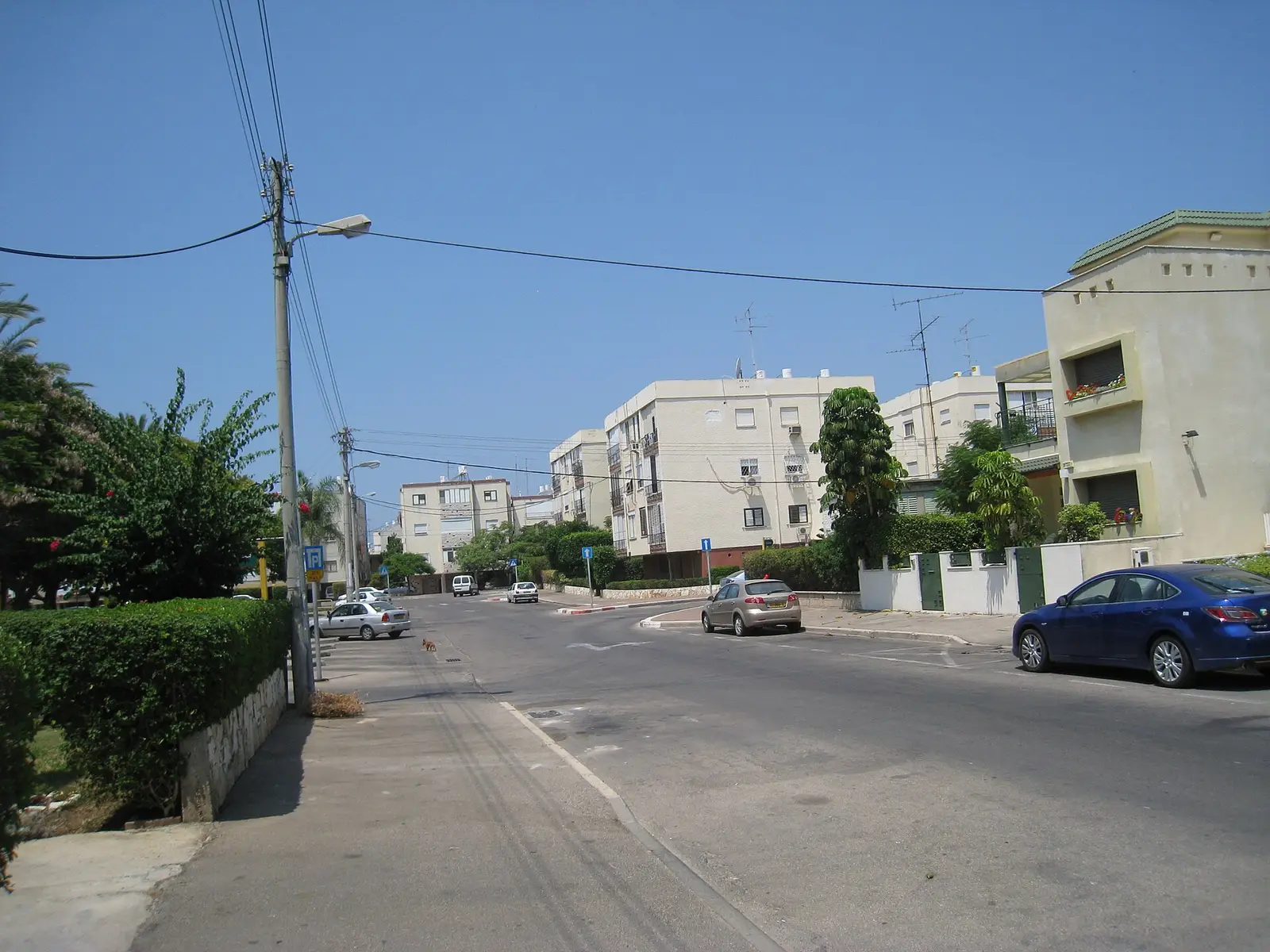 Liganoni