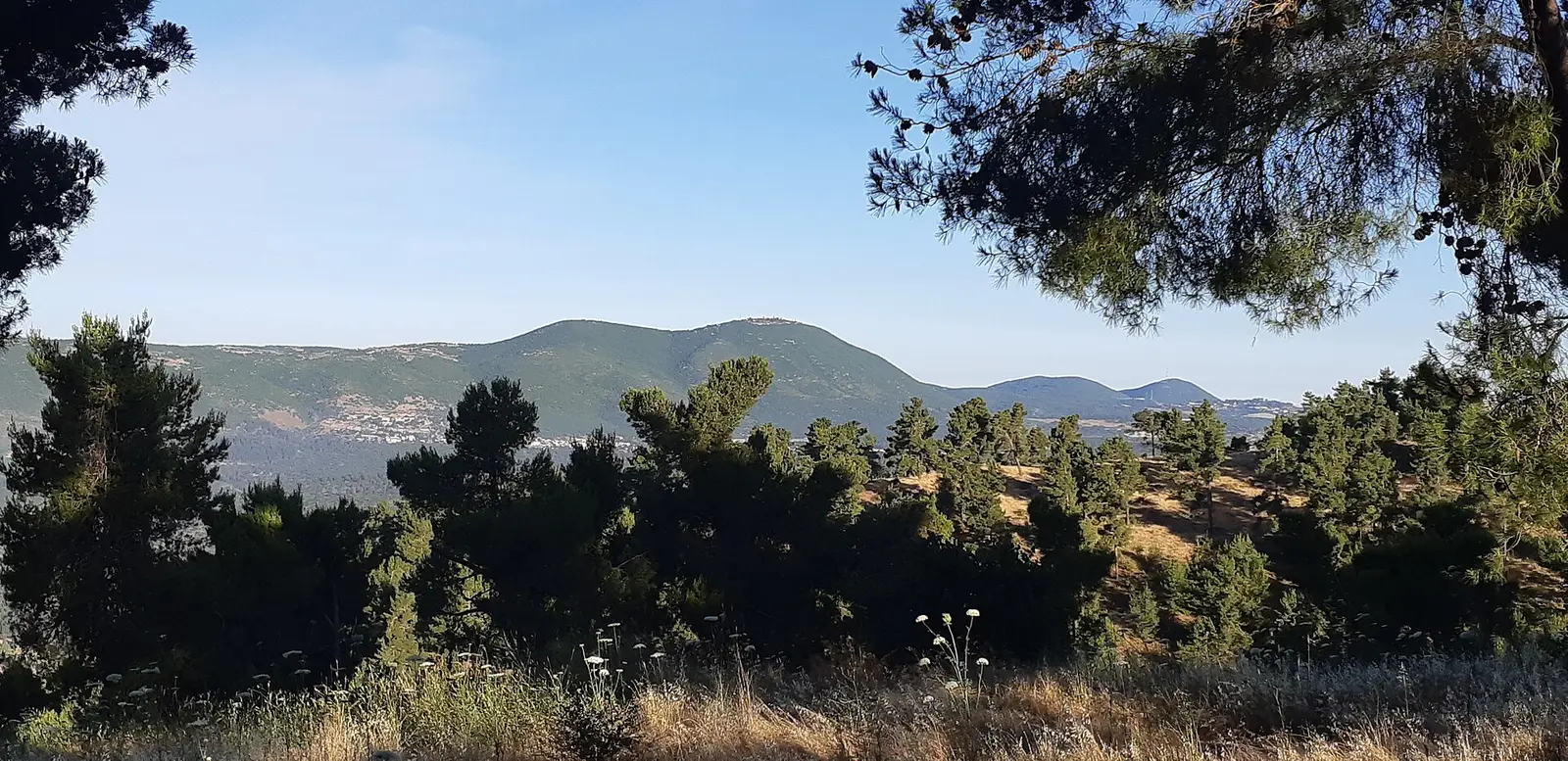 Chabad of Merom Kenaan