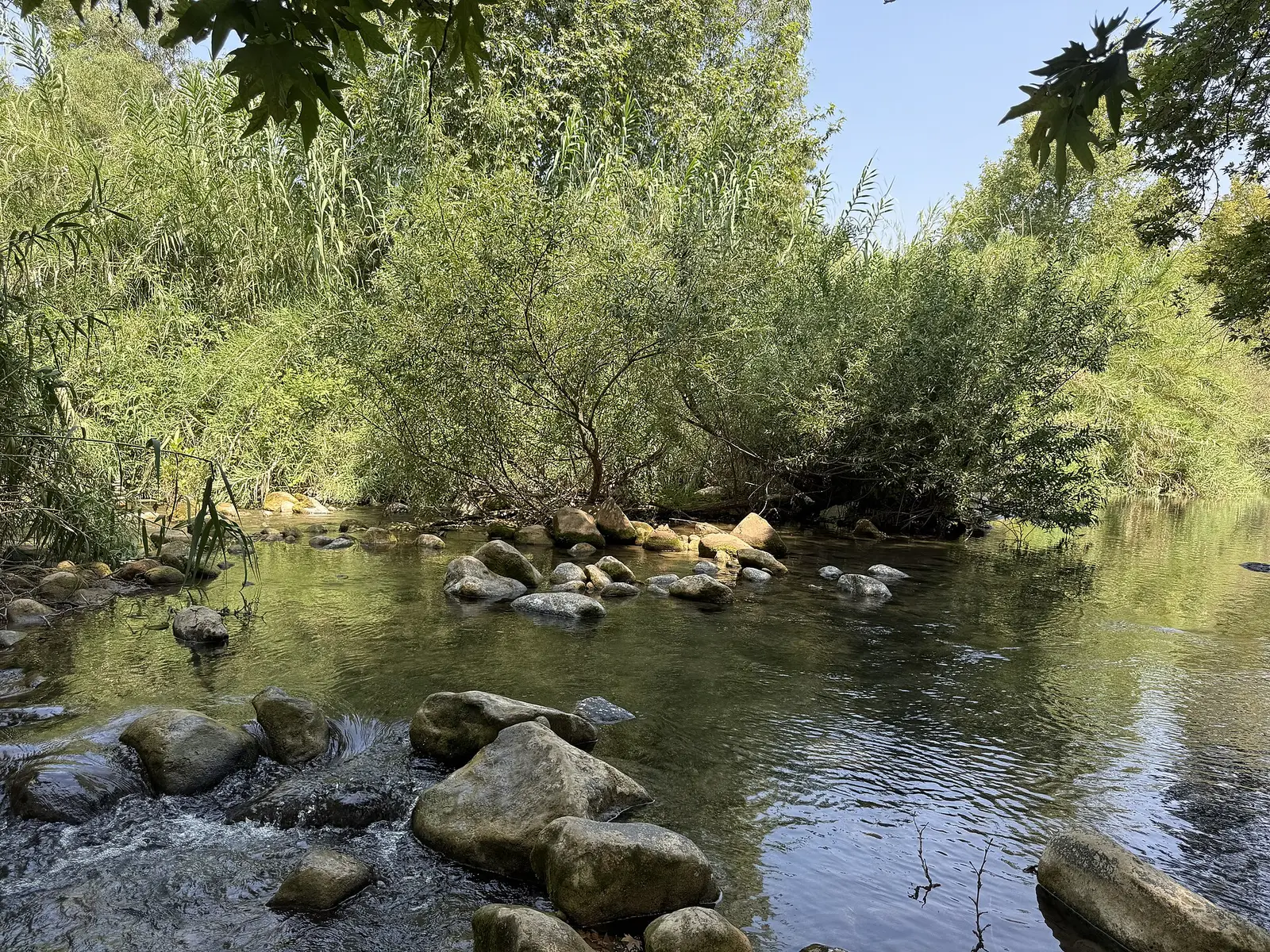 Beit Chabad Ma'ayan Baruch
