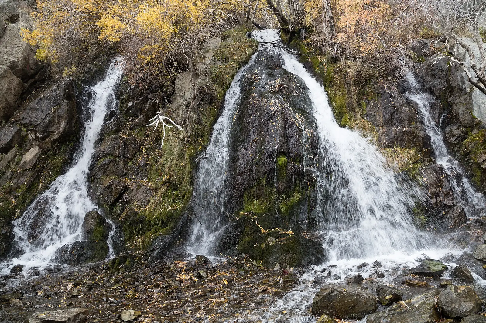 Chabad of Carson City