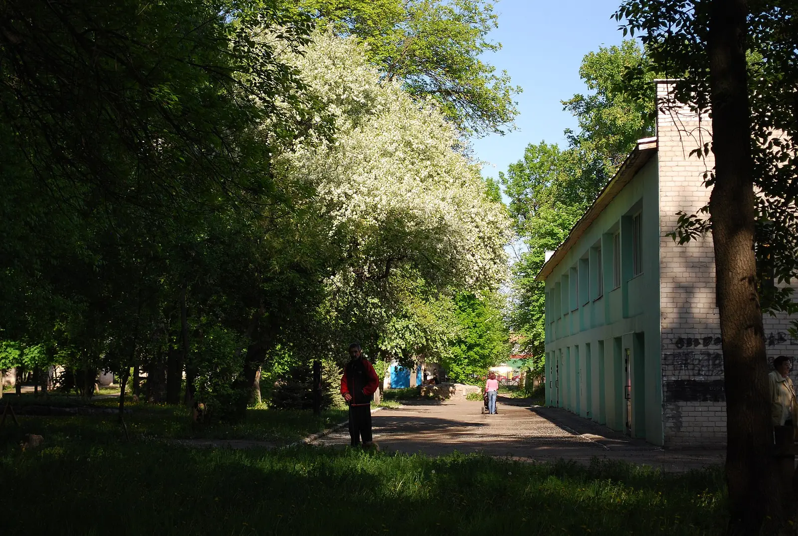 Chabad Lubavitch of Penza